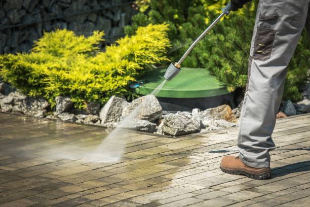 Best Dumpster Area Cleaning  in Zephyrhills South, FL