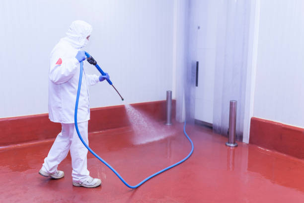 Best Post-Construction Pressure Washing  in Zephyrhills South, FL